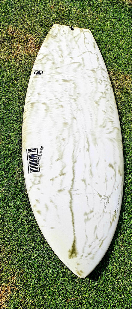 New Cibettereveryday and a Cineckbeard2