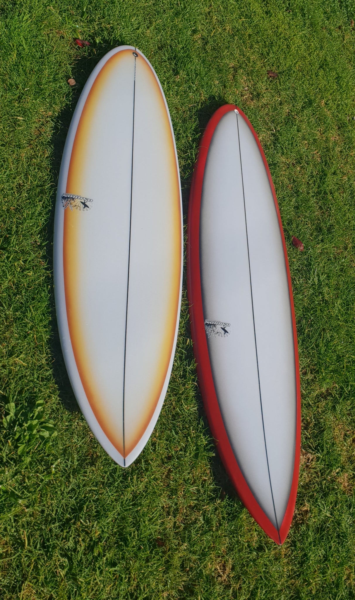 Stocky( For Sale ) Pu Hogs