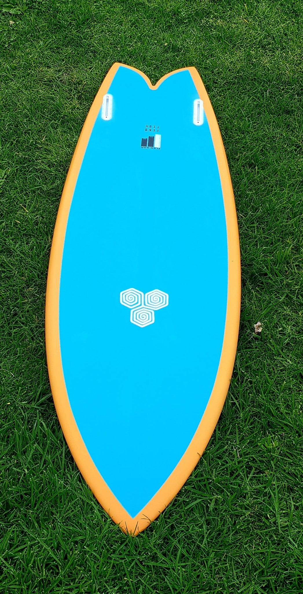 Custom Ci febsfish order yours today for summer